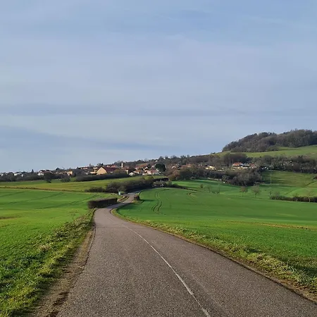 Voici Suggestion De Titre : Pres De Nancy Avec Climatisation, Wifi, Barbecue Et Parking Prive - Fr-1-584-100 Prázdninový dům Thelod