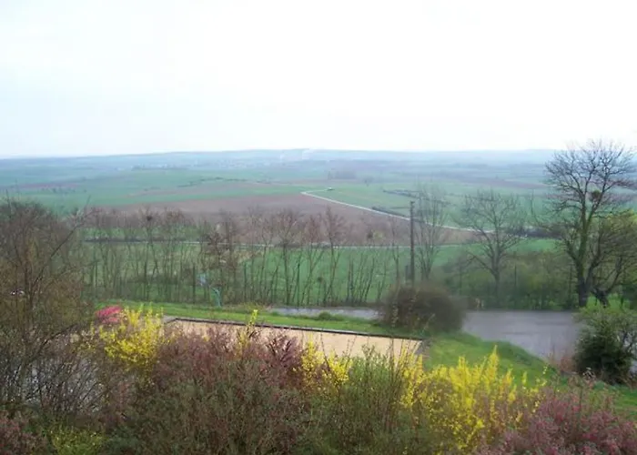 Voici Suggestion De Titre : Pres De Nancy Avec Climatisation, Wifi, Barbecue Et Parking Prive - Fr-1-584-100 * Thelod