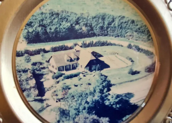 Voici Suggestion De Titre : Pres De Nancy Avec Climatisation, Wifi, Barbecue Et Parking Prive - Fr-1-584-100 Thelod