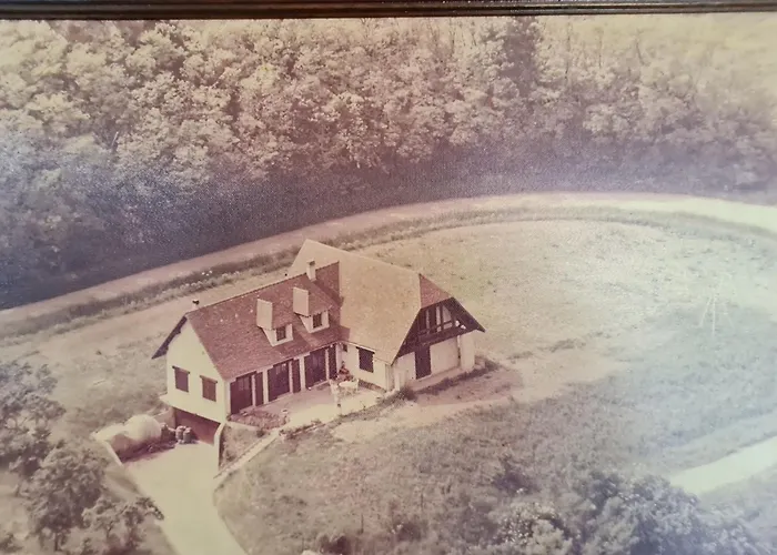 Voici Suggestion De Titre : Pres De Nancy Avec Climatisation, Wifi, Barbecue Et Parking Prive - Fr-1-584-100 Holiday home