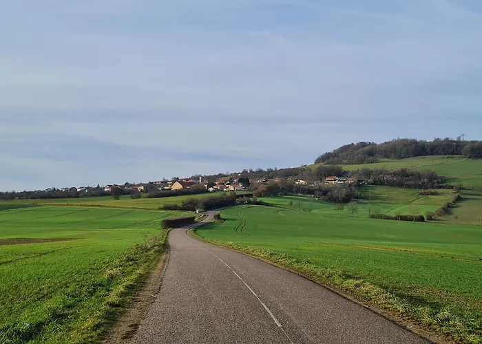 Voici Suggestion De Titre : Pres De Nancy Avec Climatisation, Wifi, Barbecue Et Parking Prive - Fr-1-584-100 Holiday home Thelod