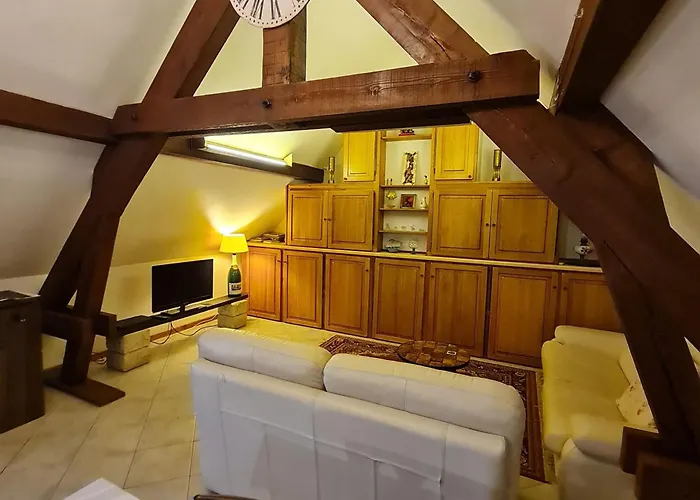 Voici Suggestion De Titre : Pres De Nancy Avec Climatisation, Wifi, Barbecue Et Parking Prive - Fr-1-584-100 Thelod